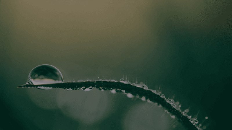 搭建免费的企业邮箱 | Indie Maker Fox