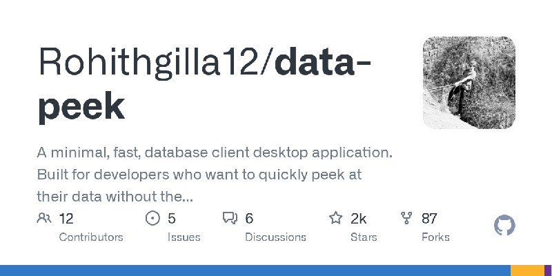 GitHub - Rohithgilla12/data-peek: A minimal, fast, database client desktop application. Built for developers who want to quickly…