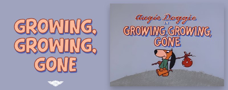 What’s !important #2: Conditional View Transitions, CSS/SVG Text Effects, the Best of CSS Bluesky, and More | CSS-Tricks