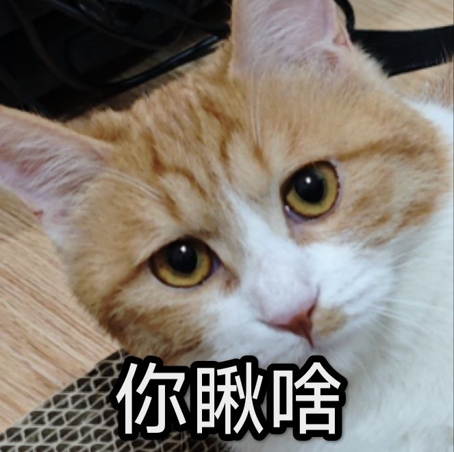 #猫 #碎碎念p1 猫和老鼠p2 还在gop3 表情包p4 不太聪明的样子小猫咪生来就是要被撸的呜呜呜#猫 #碎碎念p1 猫和老鼠p2 还在gop3 表情包p4 不太聪明的样子小猫咪生来就是要被撸的呜呜呜