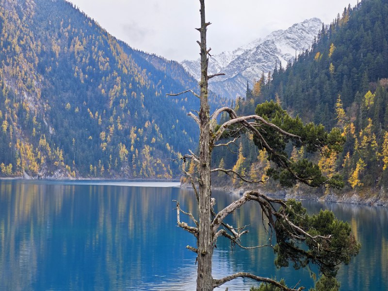 #碎碎念 #旅游九寨沟 - 五彩池和长海~#碎碎念 #旅游九寨沟 - 五彩池和长海~