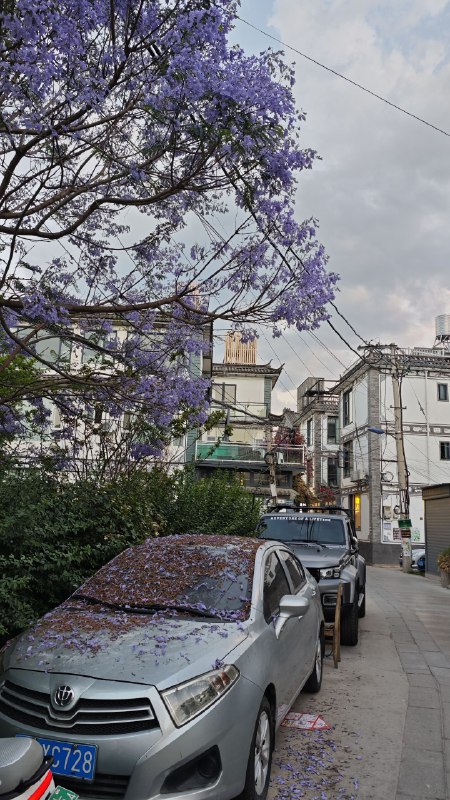 #碎碎念 #旅游 昨天从泸沽湖到大理   🥰今天晚上和同事小姐姐一起逛大理古城！大概会呆一个月