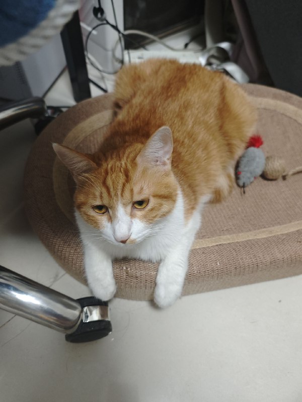 宝宝你是一只自闭宝宝宝宝你是一只自闭宝宝