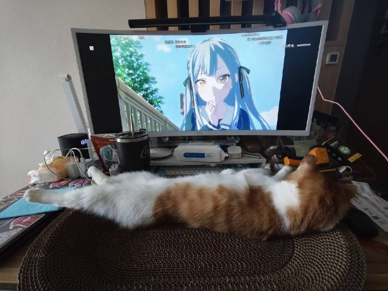 #猫 #碎碎念p1 猫和老鼠p2 还在gop3 表情包p4 不太聪明的样子小猫咪生来就是要被撸的呜呜呜#猫 #碎碎念p1 猫和老鼠p2 还在gop3 表情包p4 不太聪明的样子小猫咪生来就是要被撸的呜呜呜