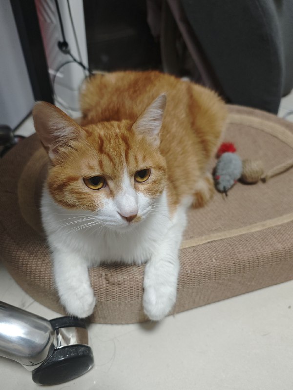 宝宝你是一只自闭宝宝宝宝你是一只自闭宝宝