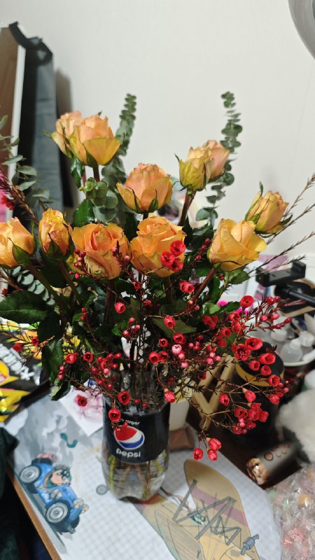 #碎碎念京东活动白嫖的花花到了，好大只~还挺好看白嫖了俩，另一个送回家给老妈了，乐呵