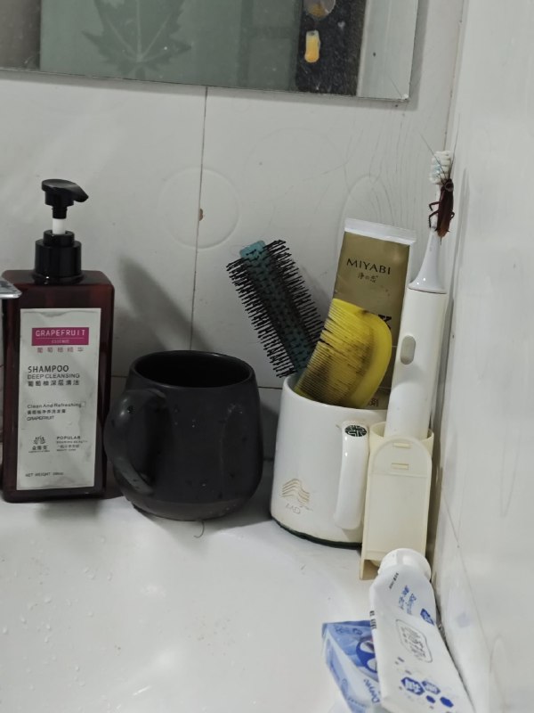 #碎碎念 #惊悚时刻⚠️⚠️⚠️大蟑螂睡前想刷牙，开门准备拿牙刷发现上面一只大蟑螂…………天知道我的心理阴影面积有多大北方人的我：啊啊啊啊啊啊啊啊啊啊啊啊啊啊啊啊想死（尖叫）南方人的老妈：小场面（然后熟练弄死冲马桶）