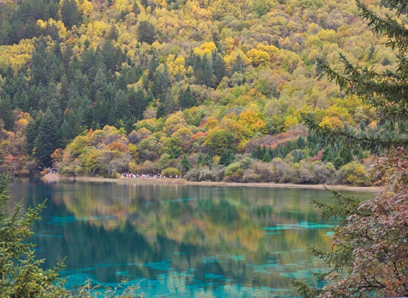 #碎碎念 #旅游九寨沟玩了一圈（累麻了）虽然天气预报说小雨但是山里没怎么下，天是阴了点儿~#碎碎念 #旅游九寨沟玩了一圈（累麻了）虽然天气预报说小雨但是山里没怎么下，天是阴了点儿~