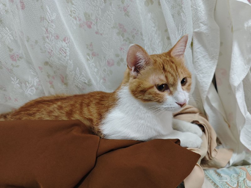 罪魁祸首一脸无辜罪魁祸首一脸无辜