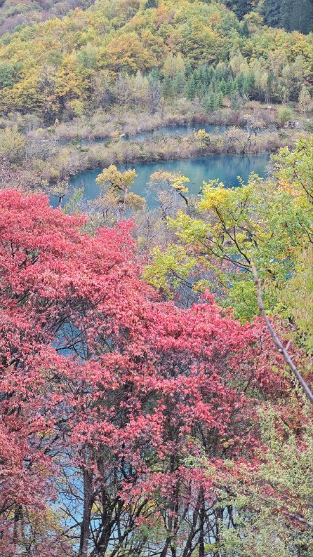 #碎碎念 #旅游 全都是原图！#碎碎念 #旅游 全都是原图！