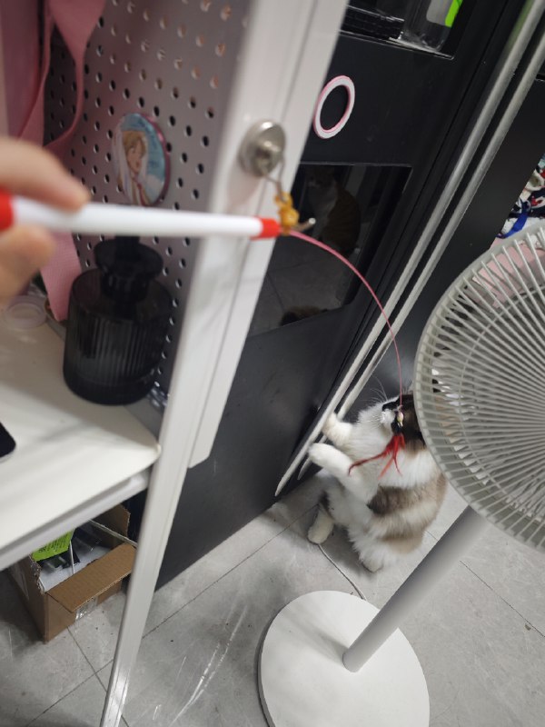 随便取下来随便换个地方吸（🤣