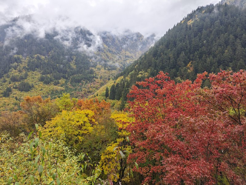 #碎碎念 #旅游 全都是原图！#碎碎念 #旅游 全都是原图！