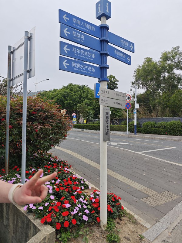 #碎碎念 #旅游 看花花！看海海！喜欢！在南澳第一沙滩