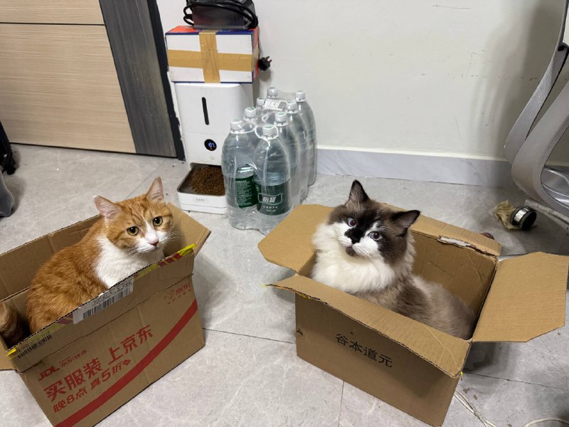 cos 昨天语重心长跟我这个北方人科普台风有多可怕，拉着我把山竹历史战绩的视频刷了一遍，然后又打算囤点自热食品防停水停电