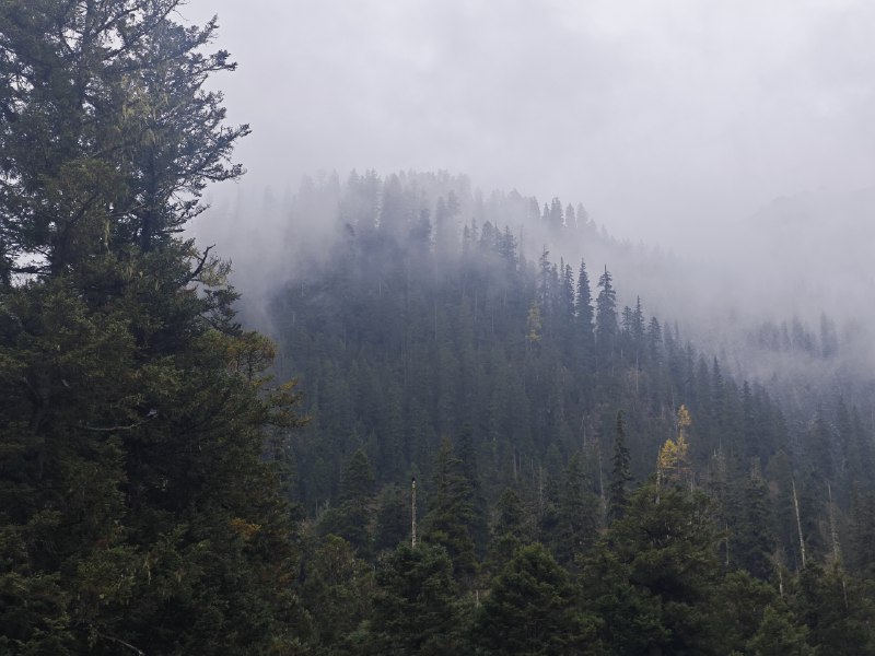 #碎碎念 #旅游九寨沟玩了一圈（累麻了）虽然天气预报说小雨但是山里没怎么下，天是阴了点儿~#碎碎念 #旅游九寨沟玩了一圈（累麻了）虽然天气预报说小雨但是山里没怎么下，天是阴了点儿~