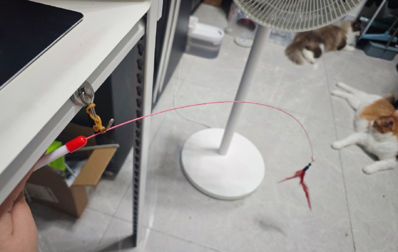 #碎碎念 #猫 #草突发奇想古法手搓了个自动逗猫棒（不是）（草）吸铁挂钩太好用了我跟你们说（x）