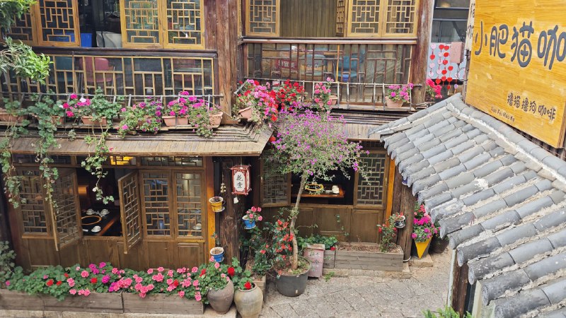 #碎碎念 #猫 #狗 今日办公环境！#碎碎念 #猫 #狗 今日办公环境！