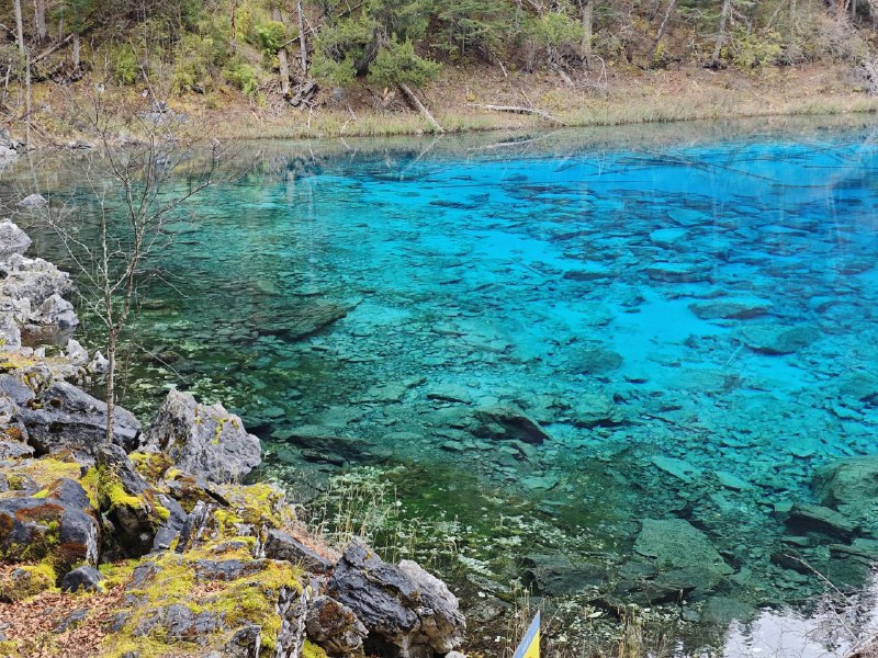 #碎碎念 #旅游九寨沟 - 五彩池和长海~#碎碎念 #旅游九寨沟 - 五彩池和长海~