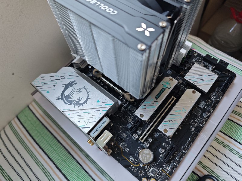 #碎碎念喵喵抱头睡觉装机！#碎碎念喵喵抱头睡觉装机！