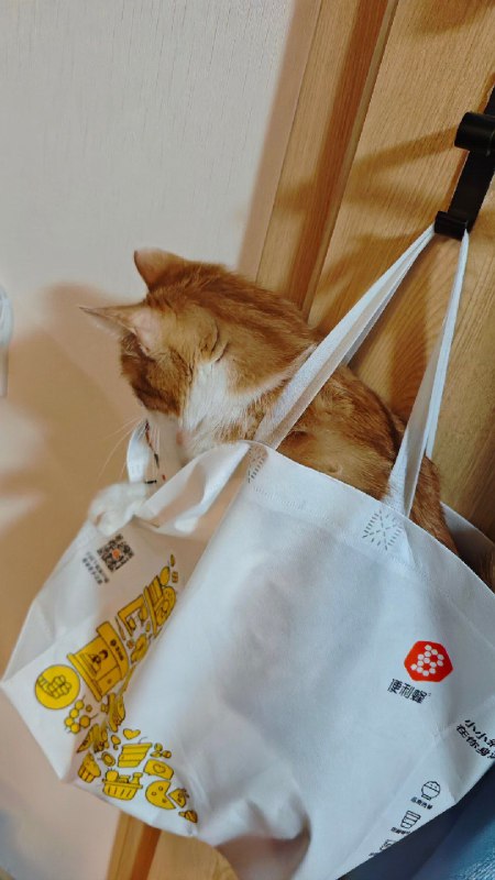 #碎碎念 #猫您好，您预定的一袋小腊八到了（她自己钻进去了躺的还很舒服！没忍住托起来挂门上了可爱昏了）#碎碎念 #猫您好，您预定的一袋小腊八到了（她自己钻进去了躺的还很舒服！没忍住托起来挂门上了可爱昏了）