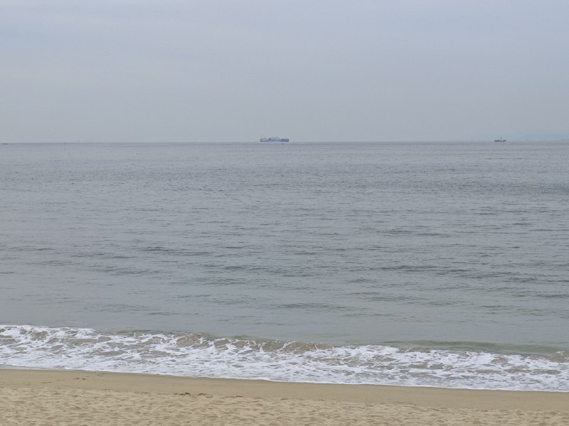 #碎碎念 #旅游 看花花！看海海！喜欢！在南澳第一沙滩