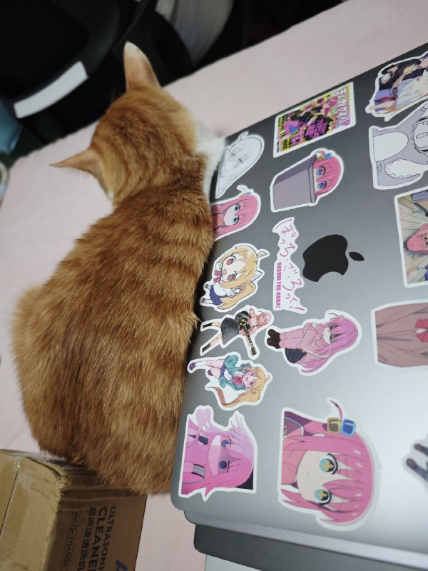 #碎碎念这🐱还靠着声明一下这么多贴纸不是我贴的我可不会这么丧心病狂#碎碎念这🐱还靠着声明一下这么多贴纸不是我贴的我可不会这么丧心病狂