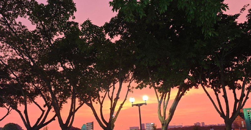 #碎碎念晚霞好看捏#碎碎念晚霞好看捏