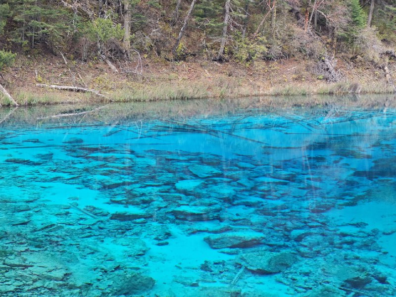 #碎碎念 #旅游九寨沟 - 五彩池和长海~#碎碎念 #旅游九寨沟 - 五彩池和长海~