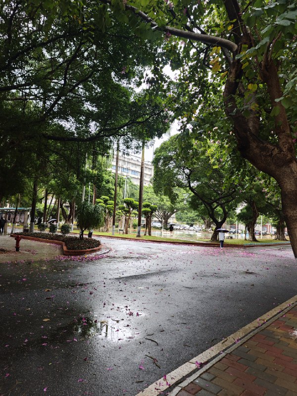 #碎碎念 #美食昨天下着雨，在南方医院体检完一看发现南方医科大学，学三食堂外人居然也可以吃！居然有我最喜欢但是在南方找不到的缘味先石锅鸡蛋！！（虽然点错成石锅豆腐了）​又幸福了，以后工作之余就来炫饭，这份 15 块 🤤#碎碎念 #美食昨天下着雨，在南方医院体检完一看发现南方医科大学，学三食堂外人居然也可以吃！居然有我最喜欢但是在南方找不到的缘味先石锅鸡蛋！！（虽然点错成石锅豆腐了）​又幸福了，以后工作之余就来炫饭，这份 15 块 🤤