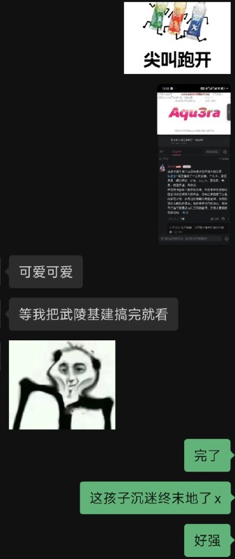 #碎碎念 #追番我和我妹 Be Like我妹终末地都 47 级了艹#碎碎念 #追番我和我妹 Be Like我妹终末地都 47 级了艹