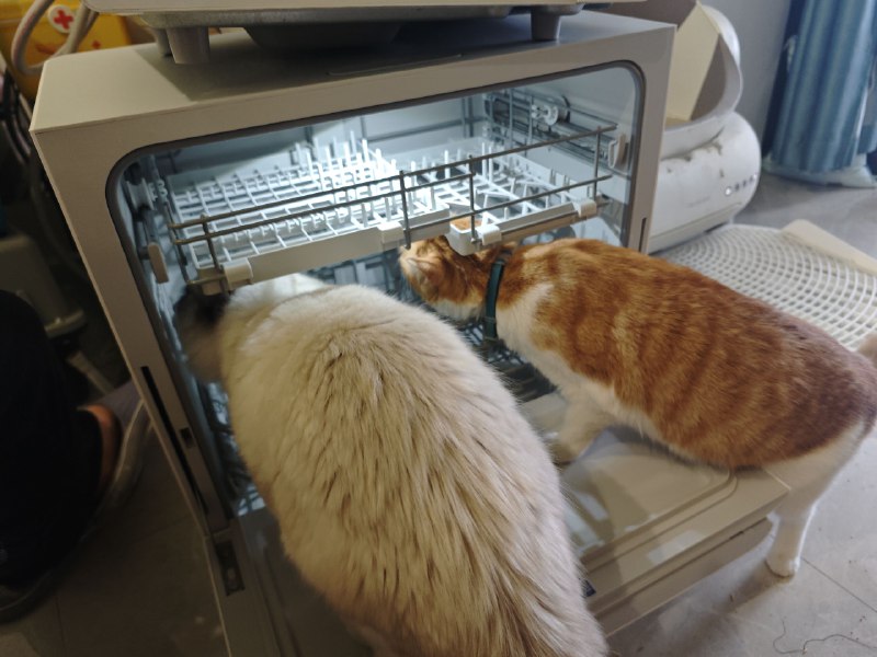 买了个米家 s1 洗碗机，好大噢【猫猫可好奇了】买了个米家 s1 洗碗机，好大噢【猫猫可好奇了】