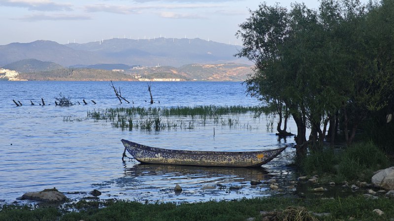 #碎碎念 #旅游 #美食 白族烤肉 & 老奶洋芋！好吃喵！饭点发不要打我#碎碎念 #旅游 #美食 白族烤肉 & 老奶洋芋！好吃喵！饭点发不要打我