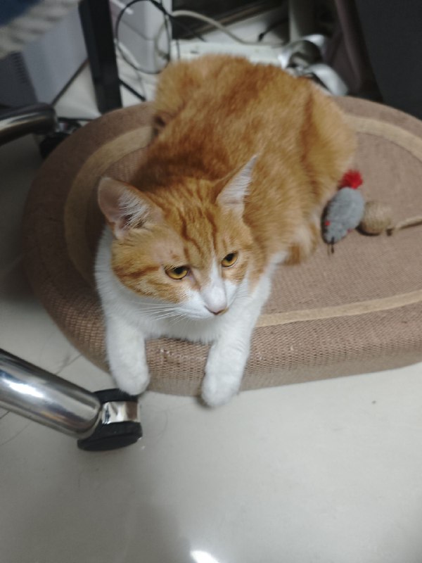 宝宝你是一只自闭宝宝宝宝你是一只自闭宝宝