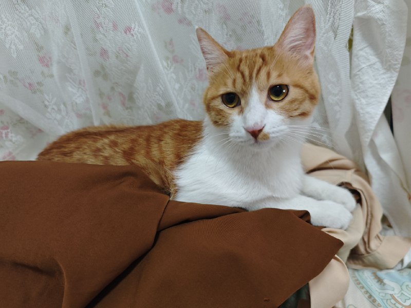 罪魁祸首一脸无辜罪魁祸首一脸无辜