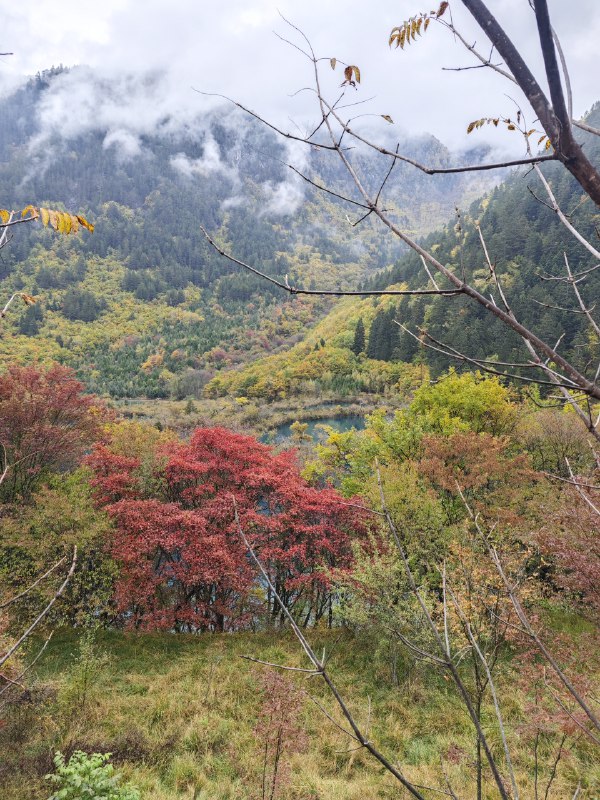 #碎碎念 #旅游 全都是原图！#碎碎念 #旅游 全都是原图！