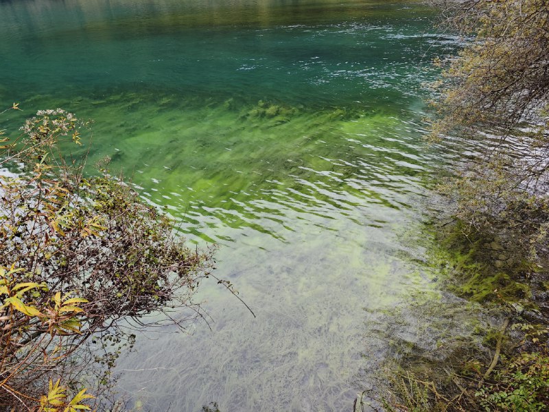 #碎碎念 #旅游九寨沟玩了一圈（累麻了）虽然天气预报说小雨但是山里没怎么下，天是阴了点儿~#碎碎念 #旅游九寨沟玩了一圈（累麻了）虽然天气预报说小雨但是山里没怎么下，天是阴了点儿~